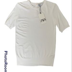 NWT!  Zara Short Sleeve Sweater w/ Cute Gold Button Detail in Back